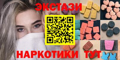 стафф Кингисепп