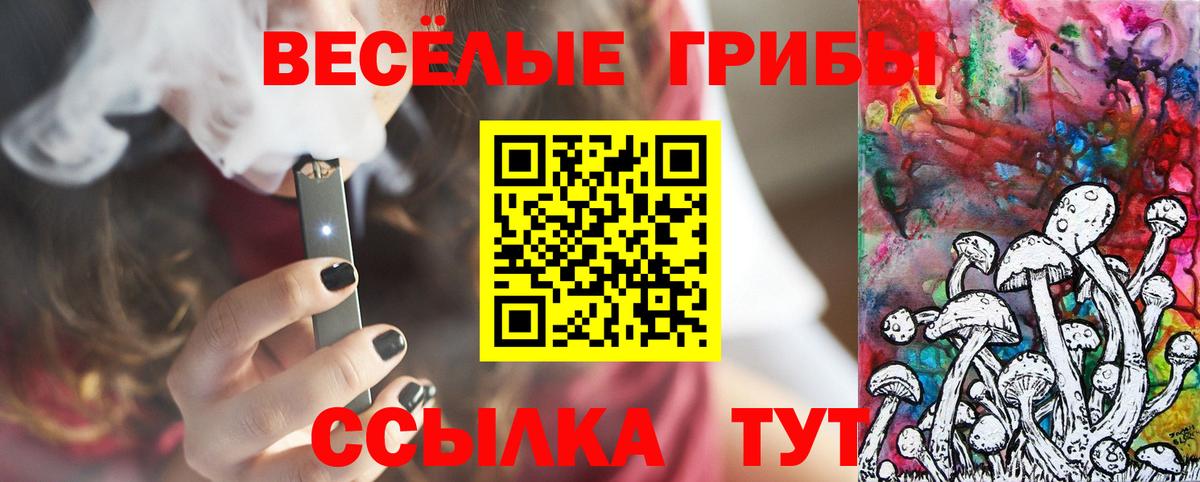 Псилоцибиновые грибы GOLDEN TEACHER  Вход с VPN  Галлюциногенные грибы Psilocybe  Чусовой 