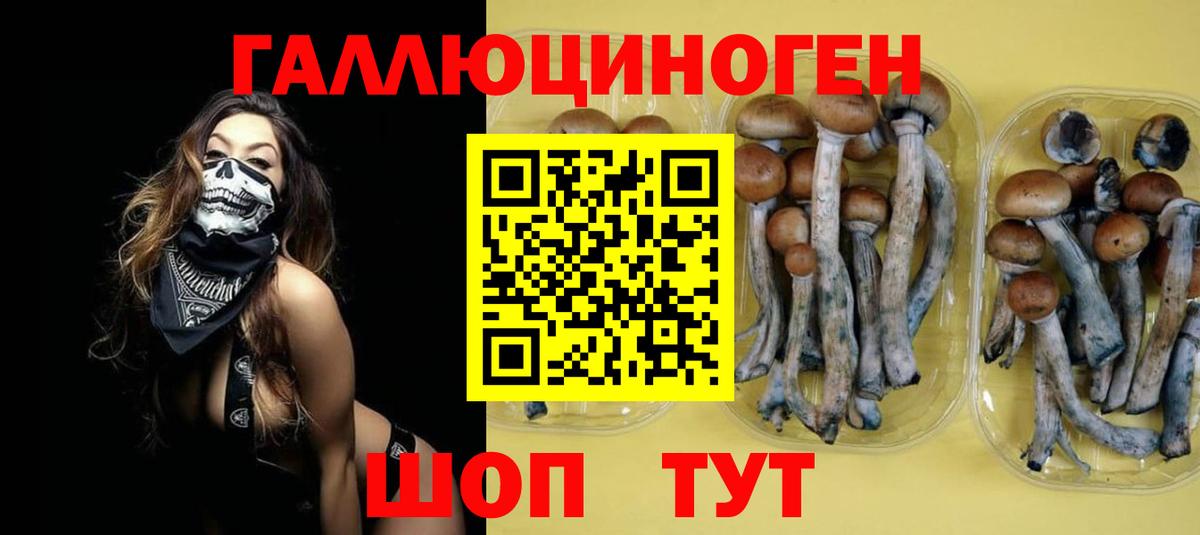 Псилоцибиновые грибы прущие грибы Чусовой